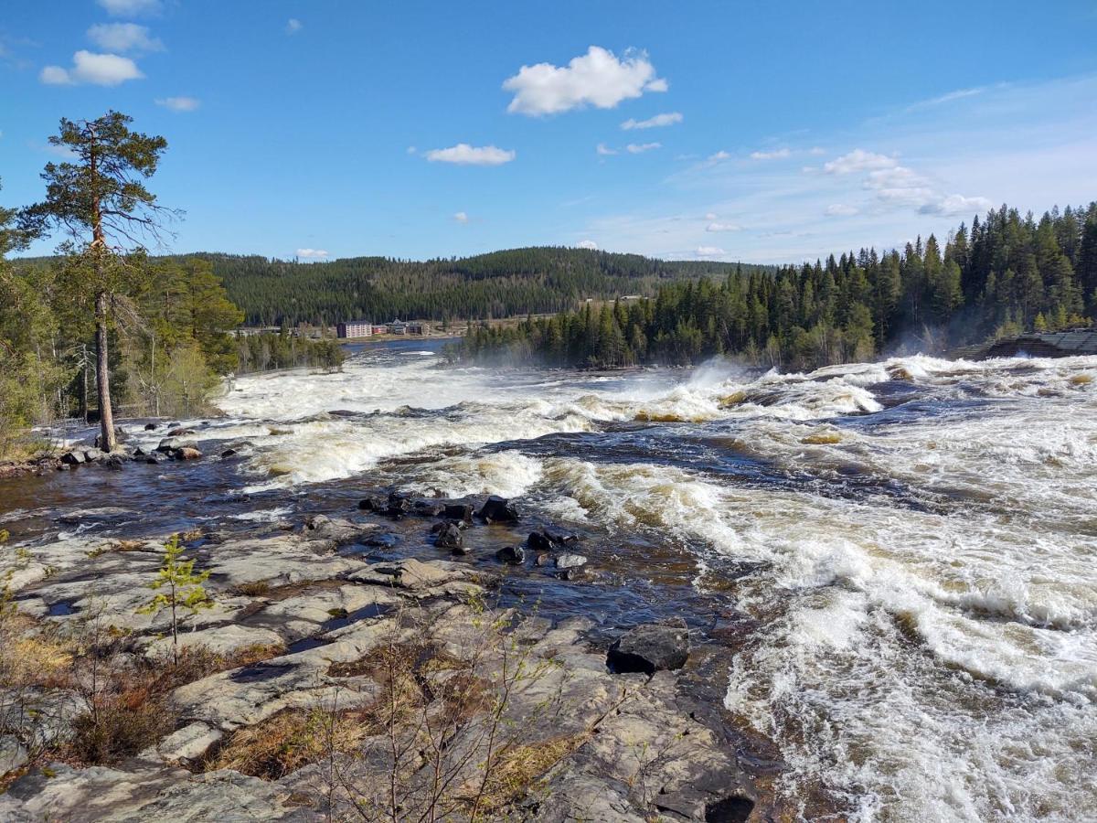 Lagomhuset - A Peaceful Holiday In Swedish Lapland Vidsel Exterior foto