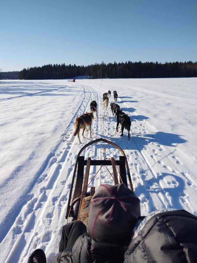 Lagomhuset - A Peaceful Holiday In Swedish Lapland Vidsel Exterior foto